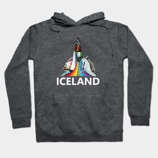 Iceland voyage 4 Hoodie